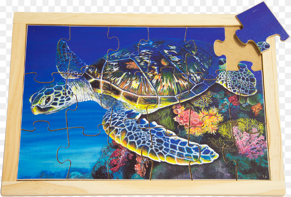 Sea Turtle, Animal, Reptile, Sea Life, Game Png Image