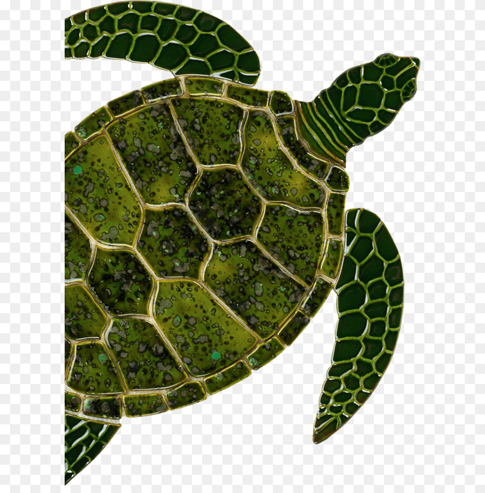 Sea Turtle Art Clipart Sea Turtle Tortoise, Animal, Reptile, Sea Life, Sea Turtle Free Png Download