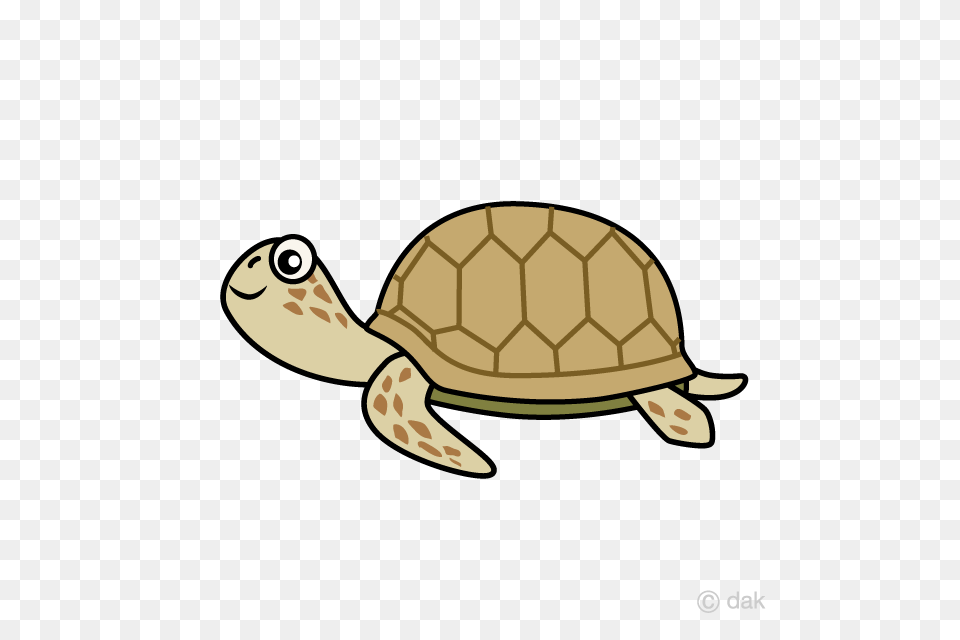 Sea Turtle Cartoon Clipart Graphics, Animal, Reptile, Sea Life, Tortoise Free Png