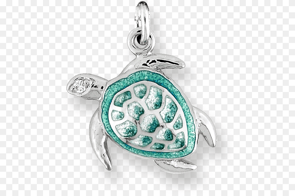 Sea Turtle Charm, Accessories, Pendant, Jewelry, Locket Free Transparent Png