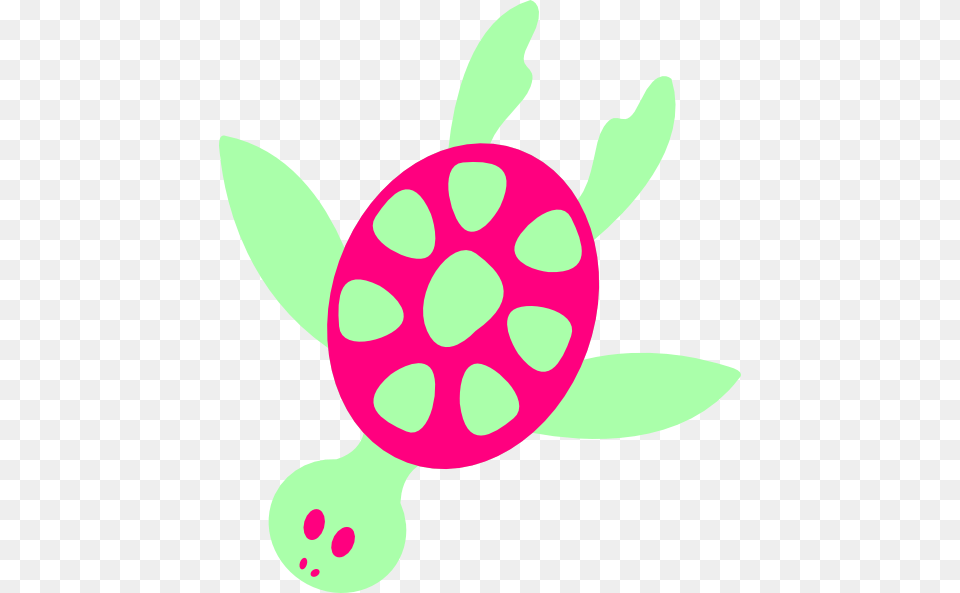 Sea Turtle Clip Art, Sweets, Food, Produce, Plant Free Png