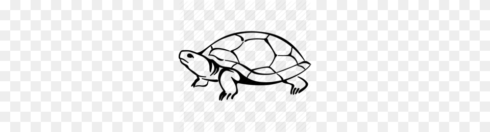 Sea Turtle Clip Art Clipart, Animal, Reptile, Sea Life, Tortoise Free Png