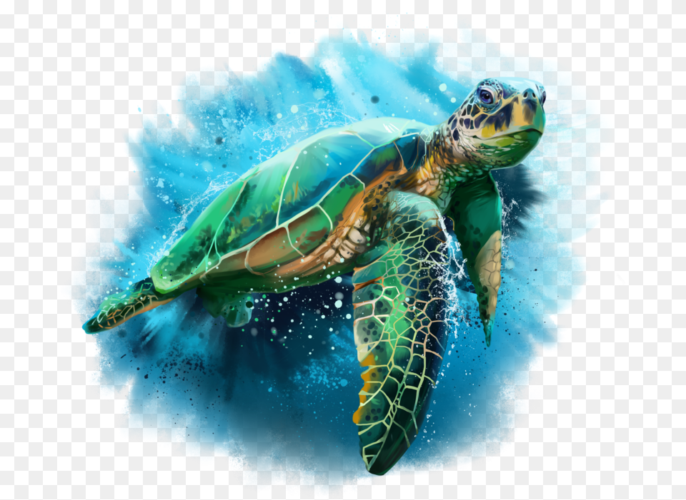Sea Turtle Clip Art Watercolor Sea Turtle, Animal, Reptile, Sea Life, Sea Turtle Png