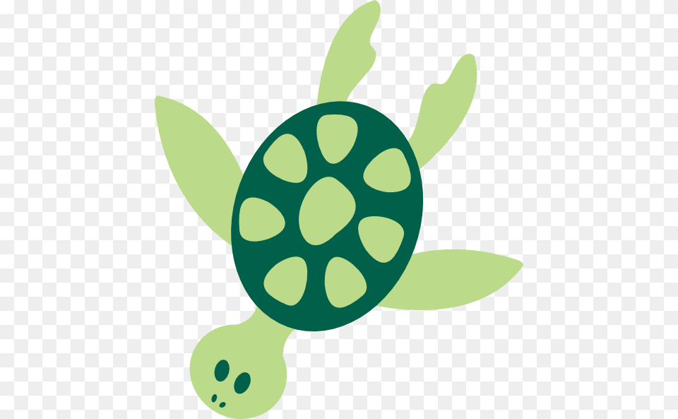 Sea Turtle Clip Arts For Web, Green, Plant, Leaf, Tortoise Free Png
