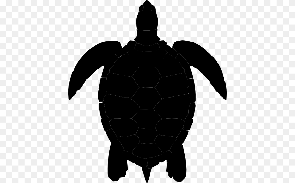 Sea Turtle Clipart, Silhouette, Adult, Male, Man Free Transparent Png