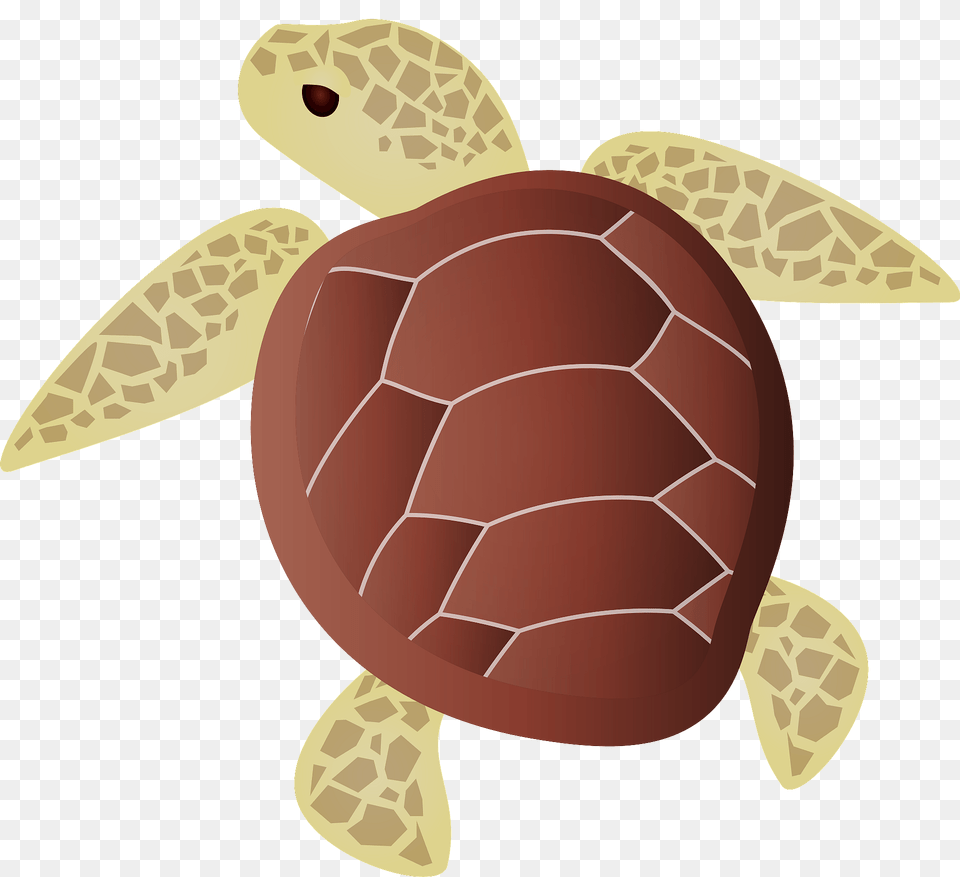 Sea Turtle Clipart, Animal, Reptile, Sea Life, Sea Turtle Png