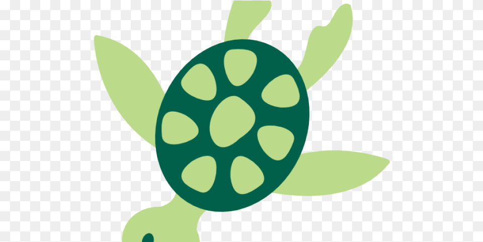 Sea Turtle Clipart, Animal, Fish, Shark, Sea Life Free Png Download