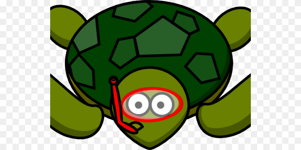 Sea Turtle Clipart Baby Boy Turtle, Ball, Sport, Football, Soccer Ball Free Png