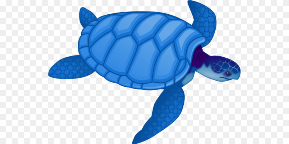 Sea Turtle Clipart Blue, Animal, Reptile, Sea Life, Sea Turtle Free Transparent Png