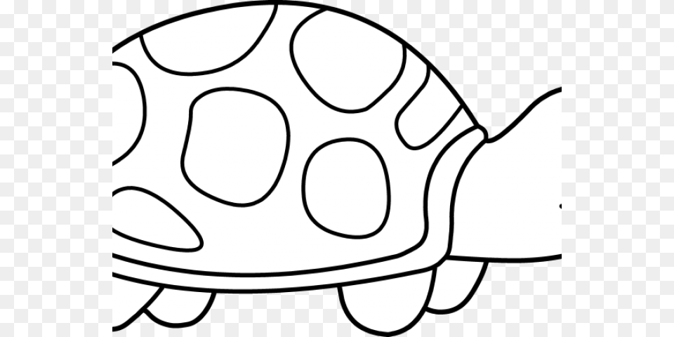 Sea Turtle Clipart Clip Art, Egg, Food, Animal, Sea Life Free Png Download