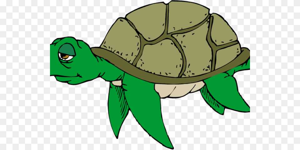 Sea Turtle Clipart Cute Sea Turtle Clipart, Animal, Green, Reptile, Sea Life Free Png