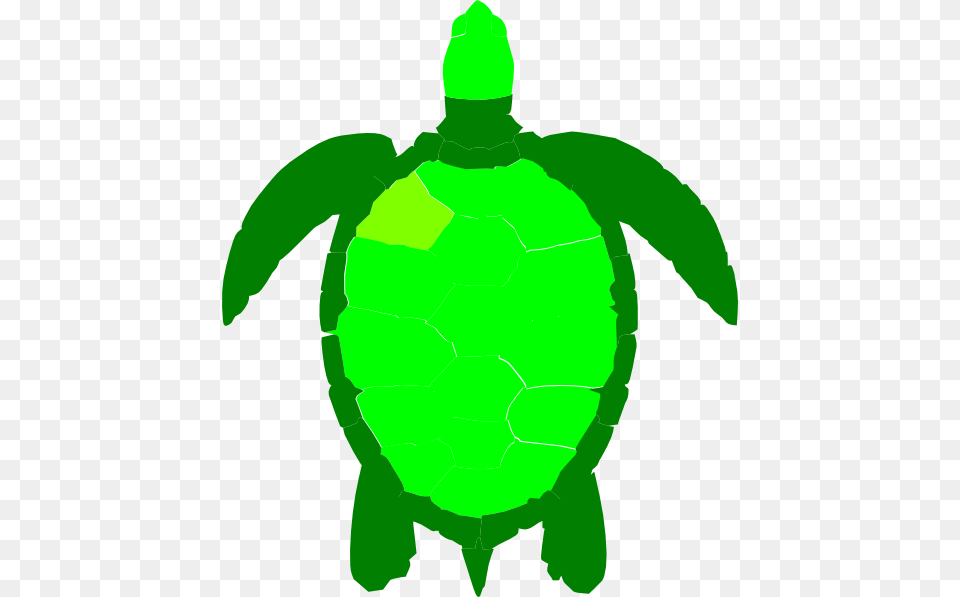 Sea Turtle Clipart Green Sea Turtle Clipart, Animal, Sea Life, Reptile, Person Free Png Download
