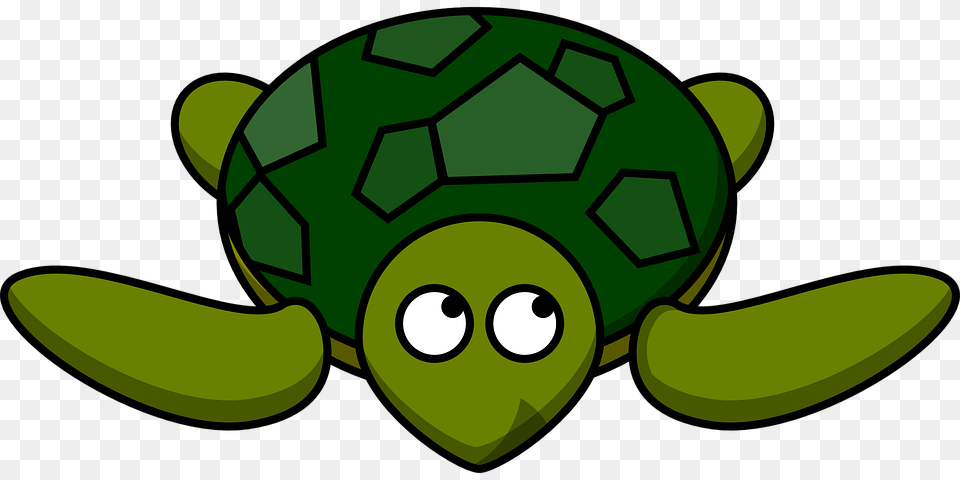 Sea Turtle Clipart Group With Items, Ball, Football, Green, Sport Free Transparent Png