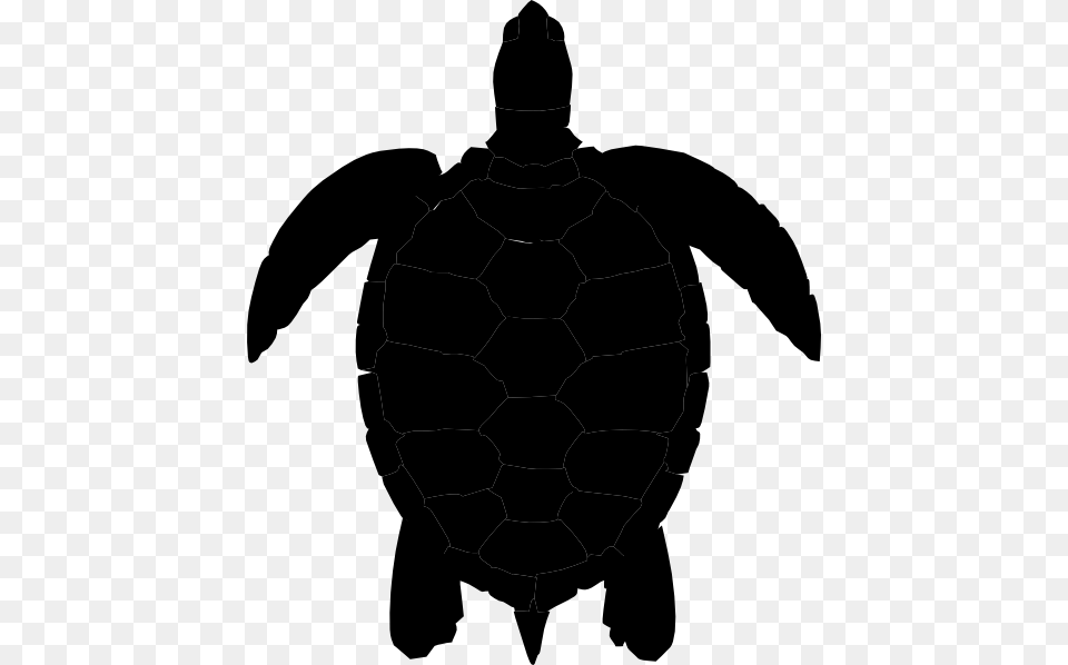 Sea Turtle Clipart Ocean Turtle, Silhouette, Adult, Male, Man Free Transparent Png