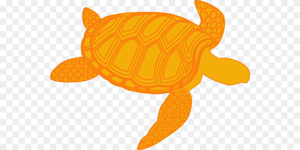 Sea Turtle Clipart Olive Ridley Cartoon Sea Turtle, Animal, Reptile, Sea Life, Tortoise Png