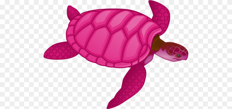 Sea Turtle Clipart Pink, Animal, Reptile, Sea Life, Tortoise Png