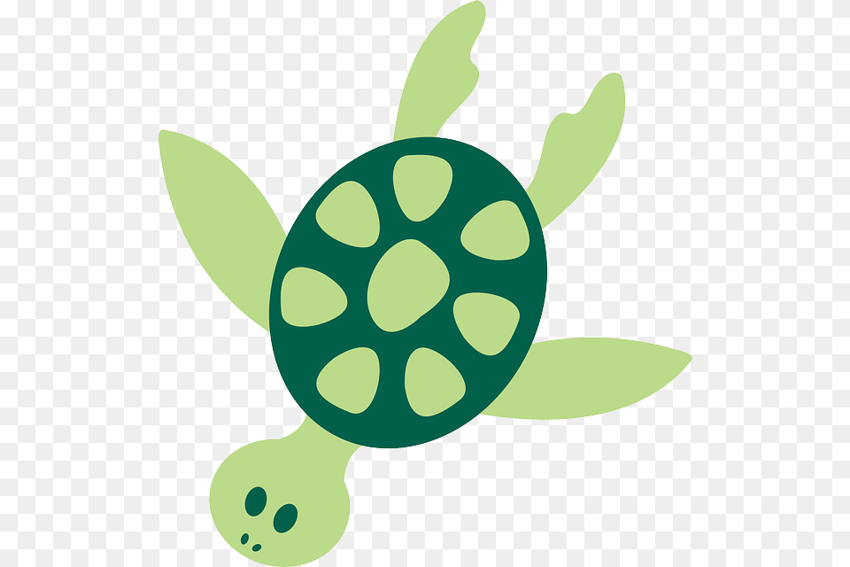 Sea Turtle Clipart Sea Lion, Green, Plant, Leaf, Tortoise Free Png Download