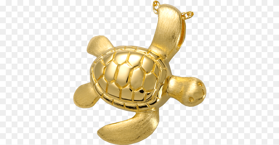 Sea Turtle Cremation Jewelry, Animal, Reptile, Sea Life, Tortoise Free Png