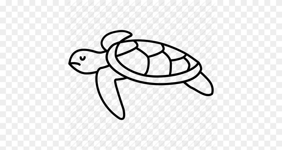 Sea Turtle Icon Clipart Modern Sea Turtles Clip Art, Animal, Reptile, Sea Life, Tortoise Free Png