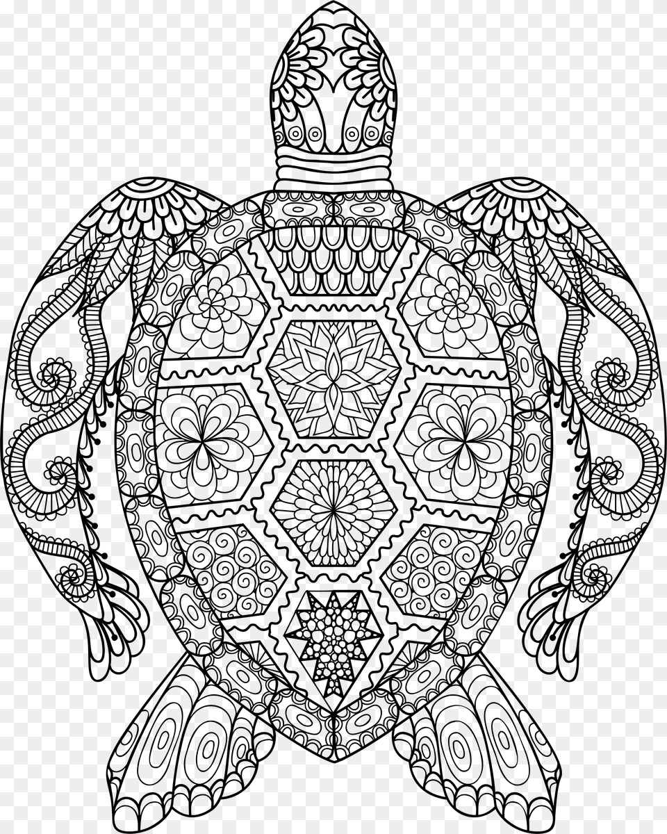 Sea Turtle Line Drawing Mandala Animal Colouring Pages, Gray Free Png Download
