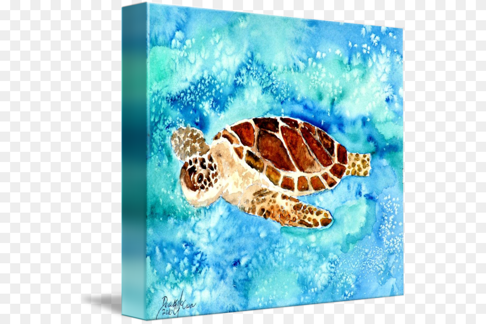 Sea Turtle Sea Life Painting Print By Derek Mccrea Turtle Painting, Animal, Reptile, Sea Life, Sea Turtle Free Png Download