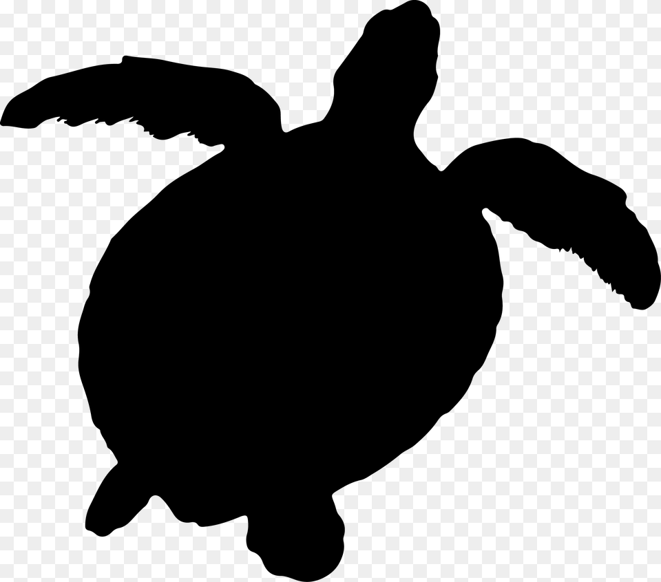 Sea Turtle Silhouette, Animal, Reptile, Sea Life, Sea Turtle Free Transparent Png
