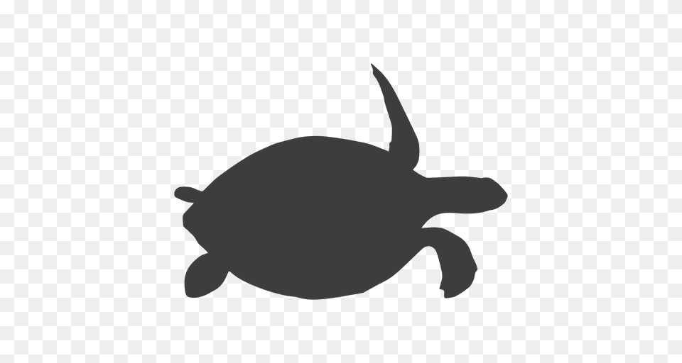 Sea Turtle Silhouette, Animal, Reptile, Sea Life, Sea Turtle Free Png Download