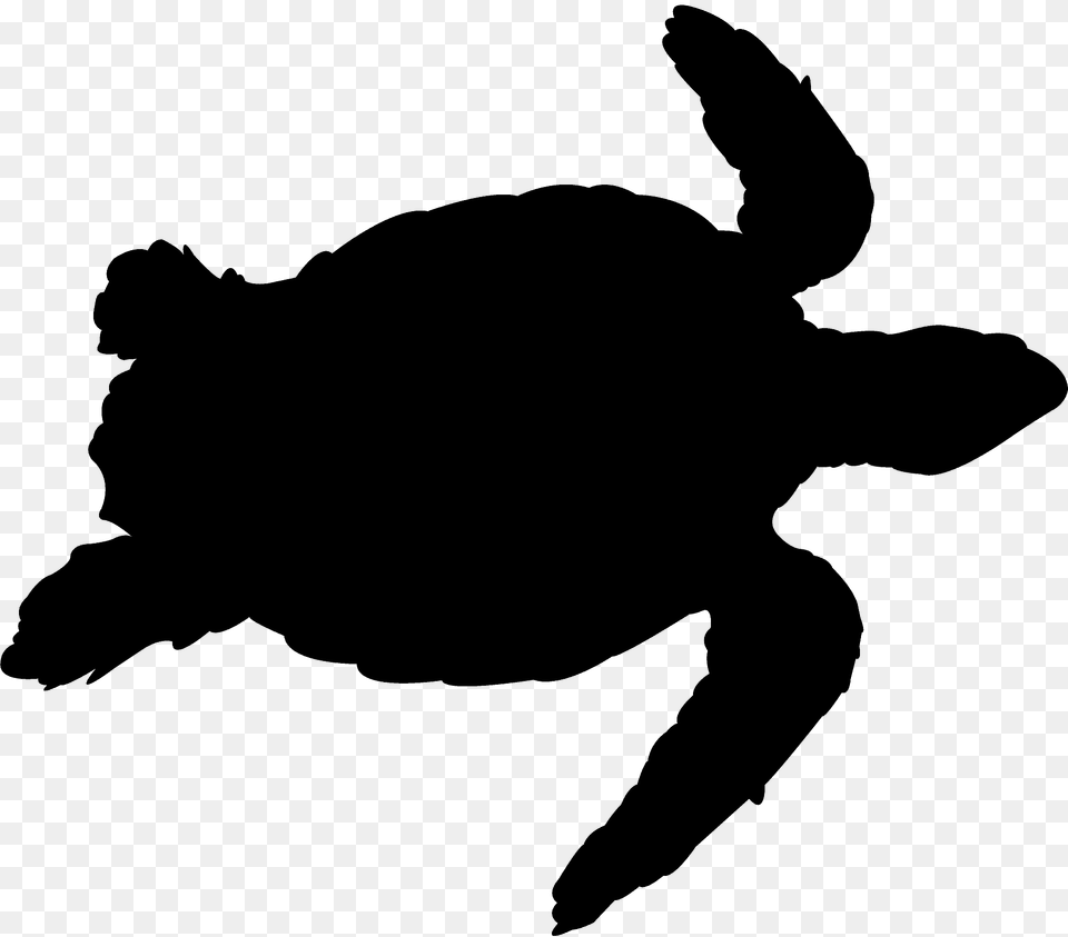 Sea Turtle Silhouette, Animal, Reptile, Sea Life, Sea Turtle Free Png Download