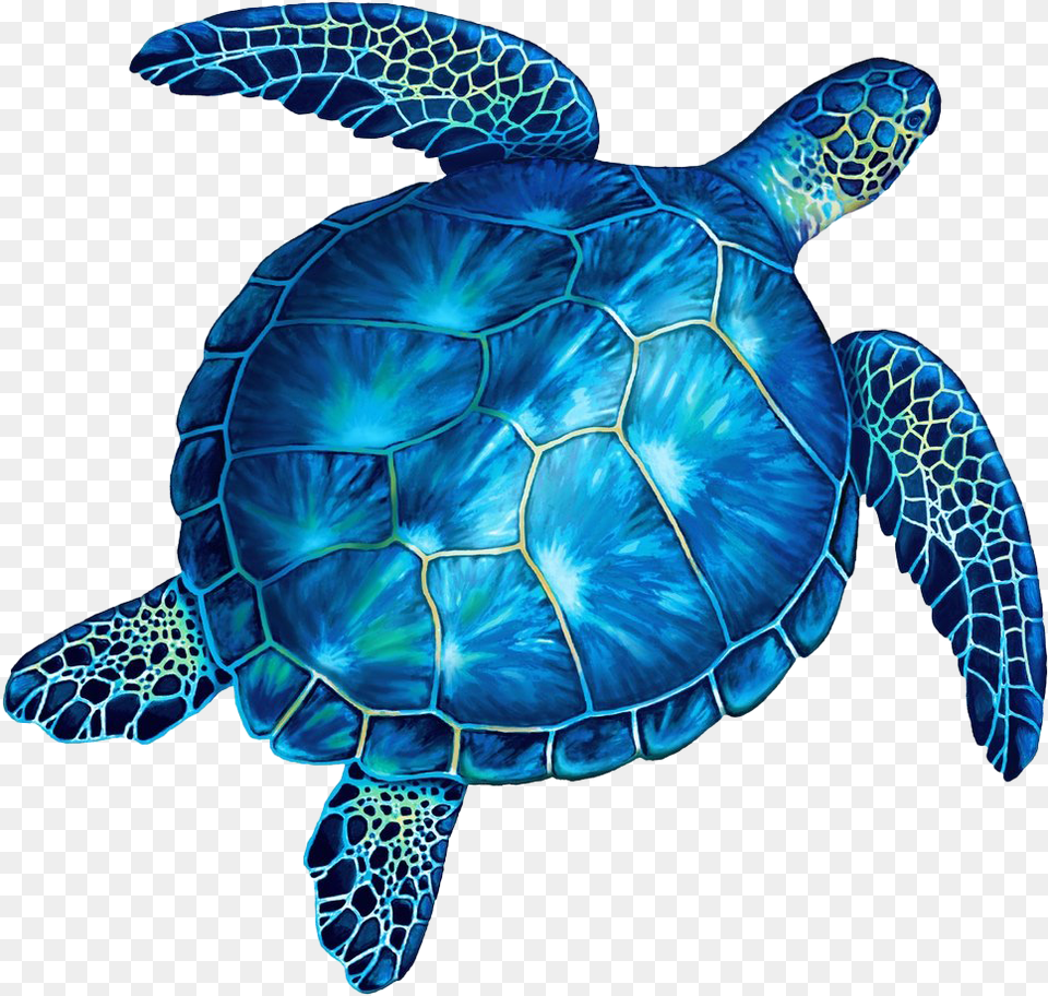 Sea Turtle Tile Mosaic, Animal, Reptile, Sea Life, Sea Turtle Png Image