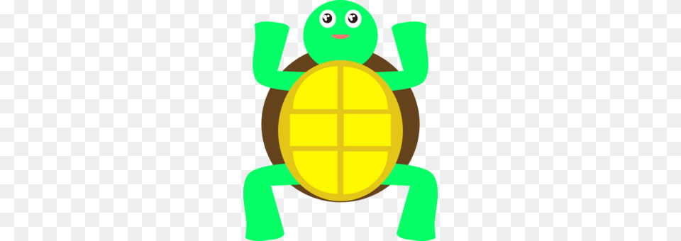 Sea Turtle Tortoise Cartoon Animated Series, Baby, Person, Face, Head Free Transparent Png