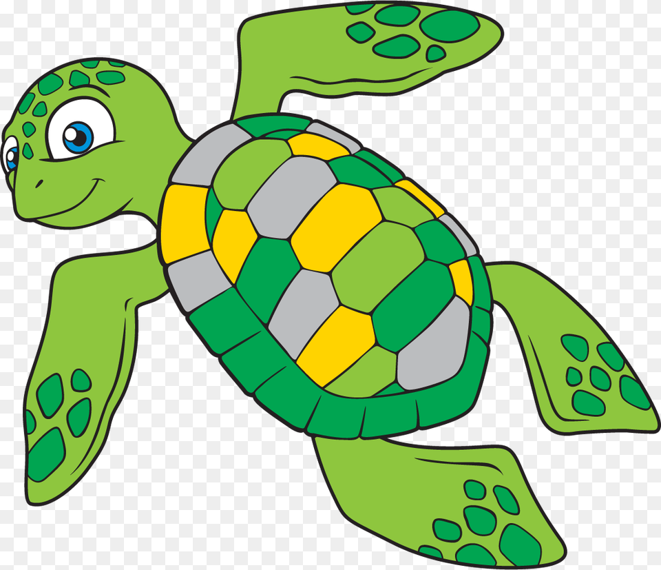 Sea Turtle Tortoise Clip Art Clip Art Sea Turtles Vector, Animal, Reptile, Sea Life, Baby Png