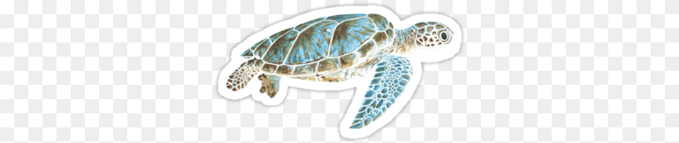 Sea Turtle Underwater Sticker By Savousepate On Redbubble Sea Turtle Samsung Galaxy S5 Slim Case, Animal, Reptile, Sea Life, Sea Turtle Free Png Download
