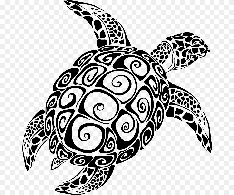 Sea Turtle Vector Graphics The Turtle Sea Turtle Svg, Animal, Reptile, Sea Life, Sea Turtle Png Image