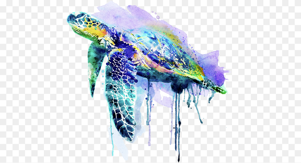 Sea Turtle Watercolor, Animal, Reptile, Sea Life, Outdoors Png Image
