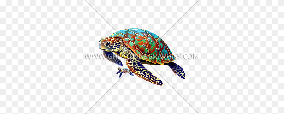 Sea Turtle With Babies Production Ready Artwork For T Shirt Printing, Animal, Reptile, Sea Life, Sea Turtle Free Png