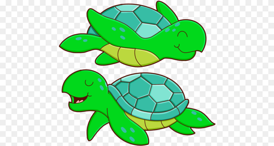 Sea Turtles, Animal, Reptile, Sea Life, Tortoise Free Png