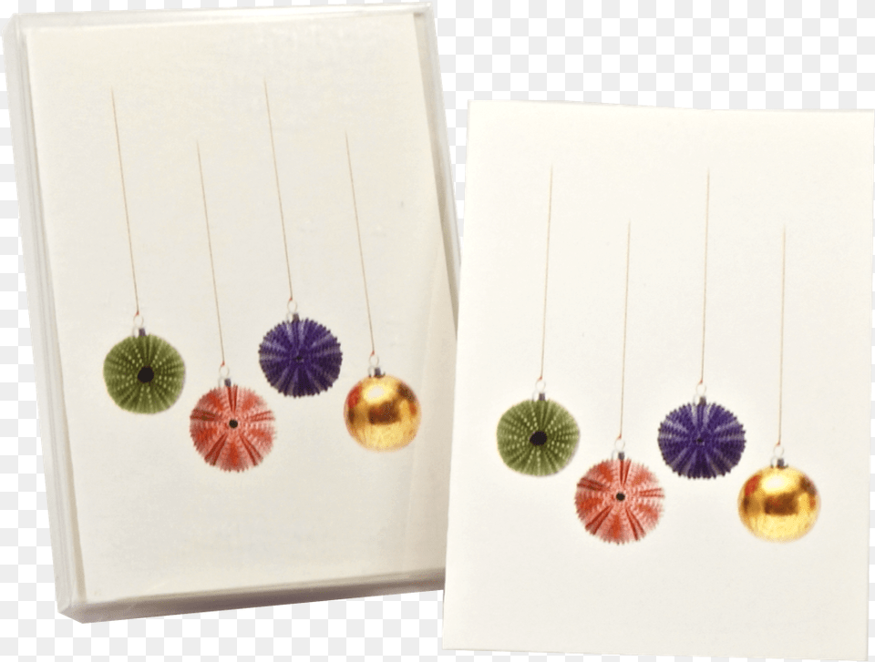 Sea Urchin Christmas Boxed Notes Decorative, Accessories, Earring, Jewelry, Gemstone Png