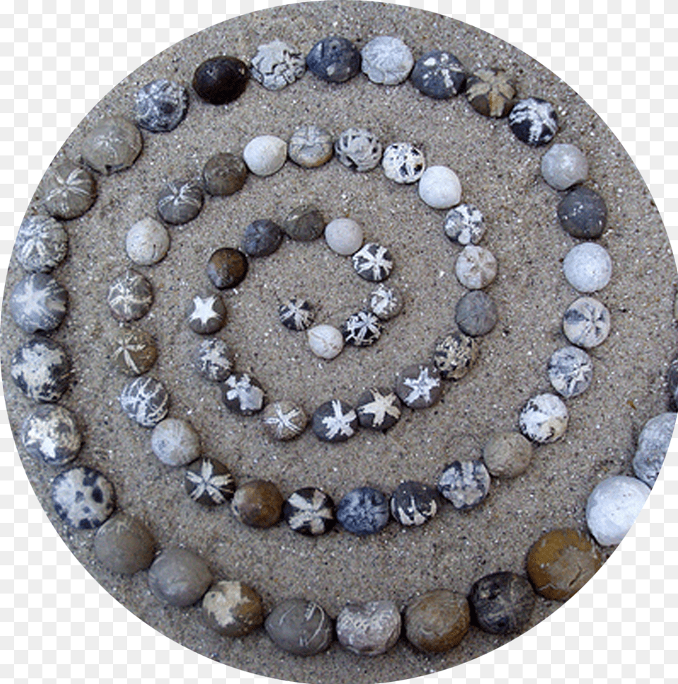 Sea Urchin Fossil In Flint, Pebble, Accessories, Coil, Spiral Png Image