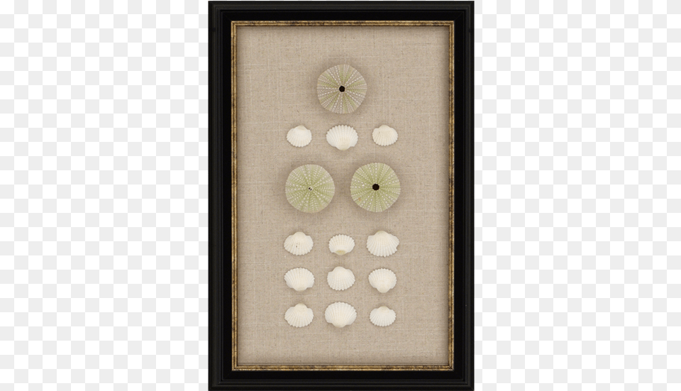 Sea Urchin Paragon Sea Urchin Framed Wall Art, Food, Fruit, Plant, Produce Free Png