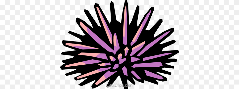 Sea Urchin Royalty Vector Clip Art Illustration Sea Urchin Clipart, Animal, Sea Life, Invertebrate, Fireworks Png