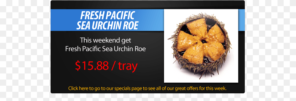 Sea Urchin Sale Sea Urchin Sale Diana39s Seafood Delight, Food, Fruit, Plant, Produce Png Image