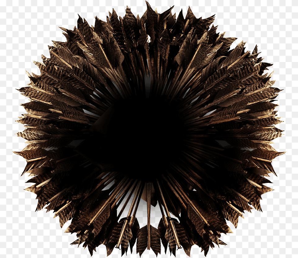 Sea Urchin Symmetry, Accessories, Fractal, Ornament, Pattern Png Image