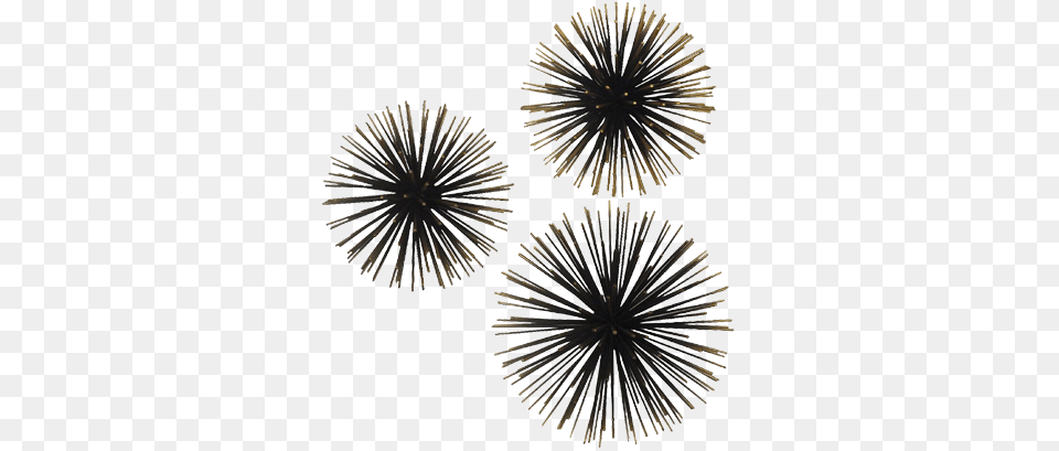 Sea Urchin Wall Dcor Gold Project, Animal, Sea Life, Invertebrate, Chandelier Free Png Download