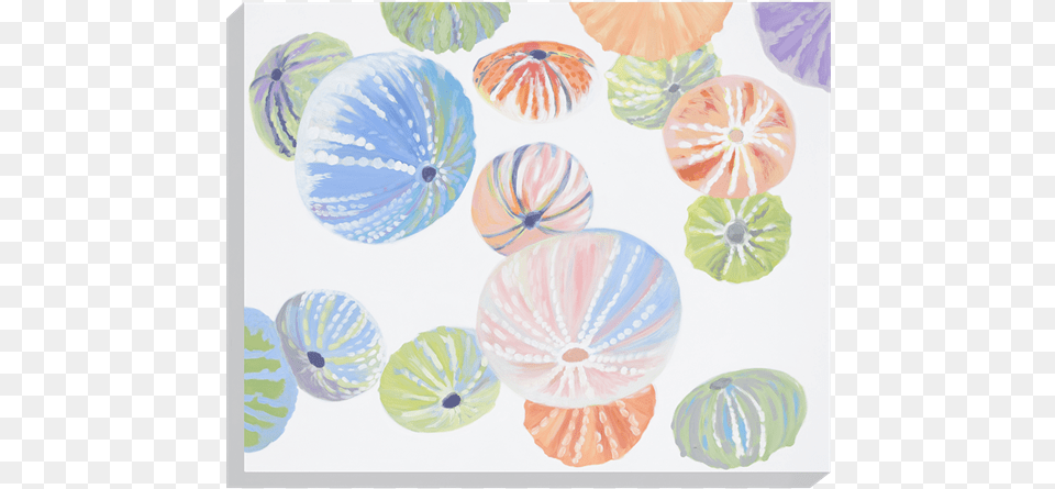 Sea Urchins Canvas Free Png