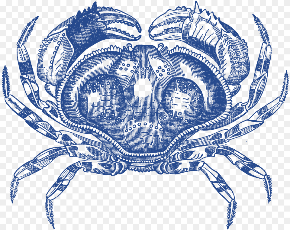 Sea Vintage, Food, Seafood, Animal, Crab Free Png