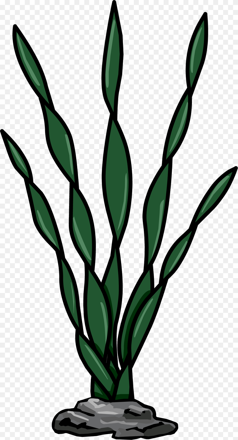 Sea Weed Club Penguin Seaweed, Green, Plant, Potted Plant, Flower Png Image