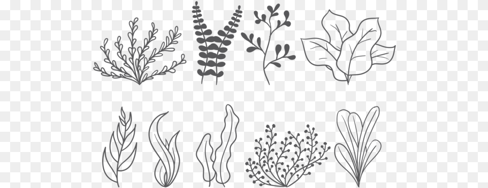 Sea Weed Vector Icons Sea Weed Vector, Stencil, Art, Pattern, Drawing Free Png