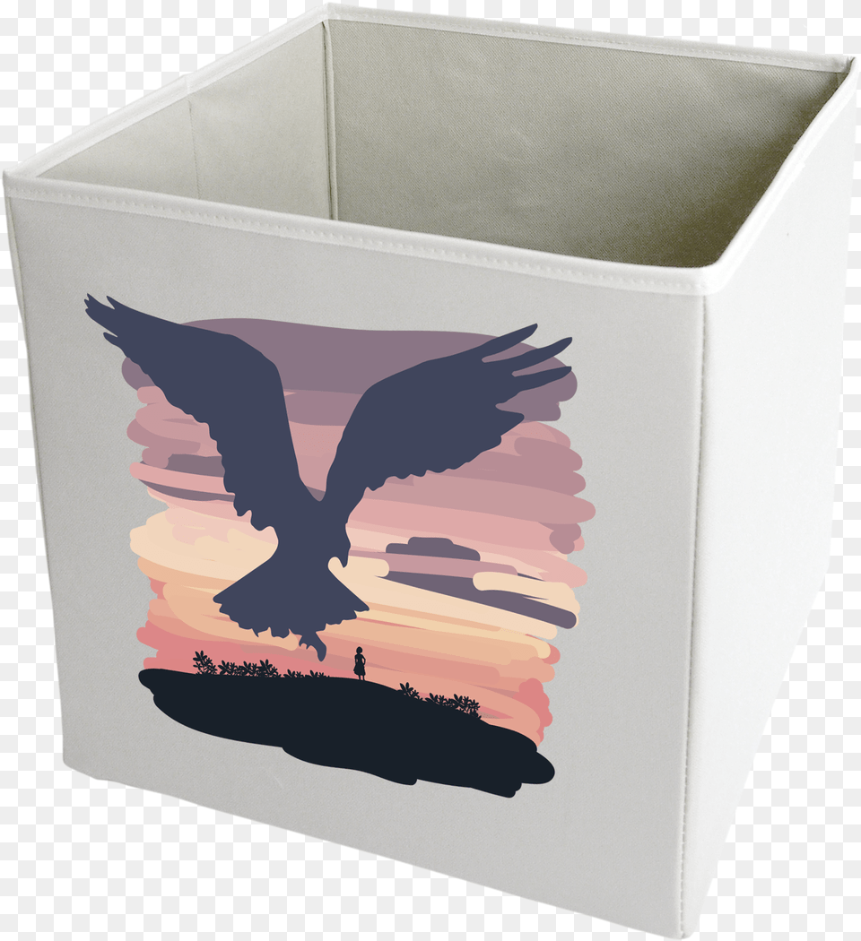 Seabird, Box, Person Free Transparent Png