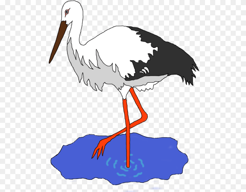 Seabirdwater Birdciconiiformes Crane Bird Clipart, Animal, Stork, Waterfowl, Person Free Png Download