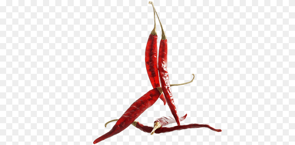 Seafood, Food, Produce, Pepper, Plant Png